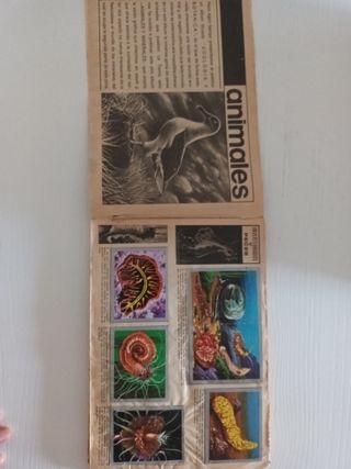 Álbum de Cromos Animales y Minerales
