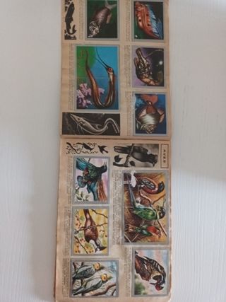 Álbum de Cromos Animales y Minerales