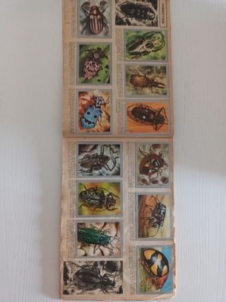 Álbum de Cromos Animales y Minerales