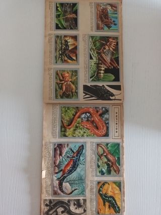 Álbum de Cromos Animales y Minerales