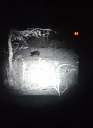 Visor Nocturno PARD NV009-850 