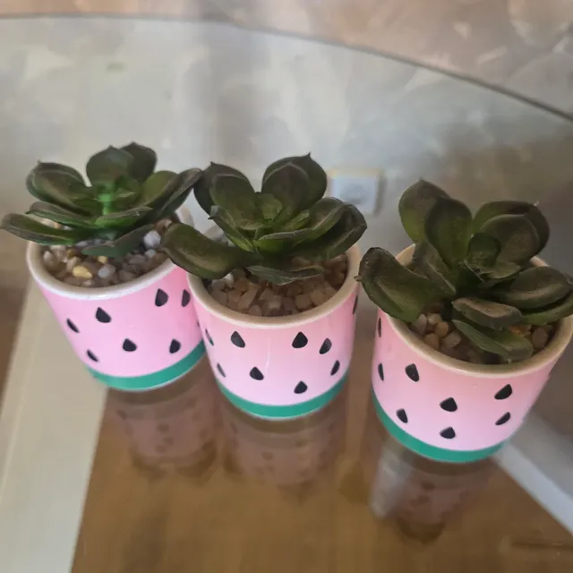 3 Macetas Suculentas Cerámica Piña