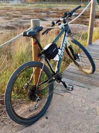 Cannondale Lefty Flash