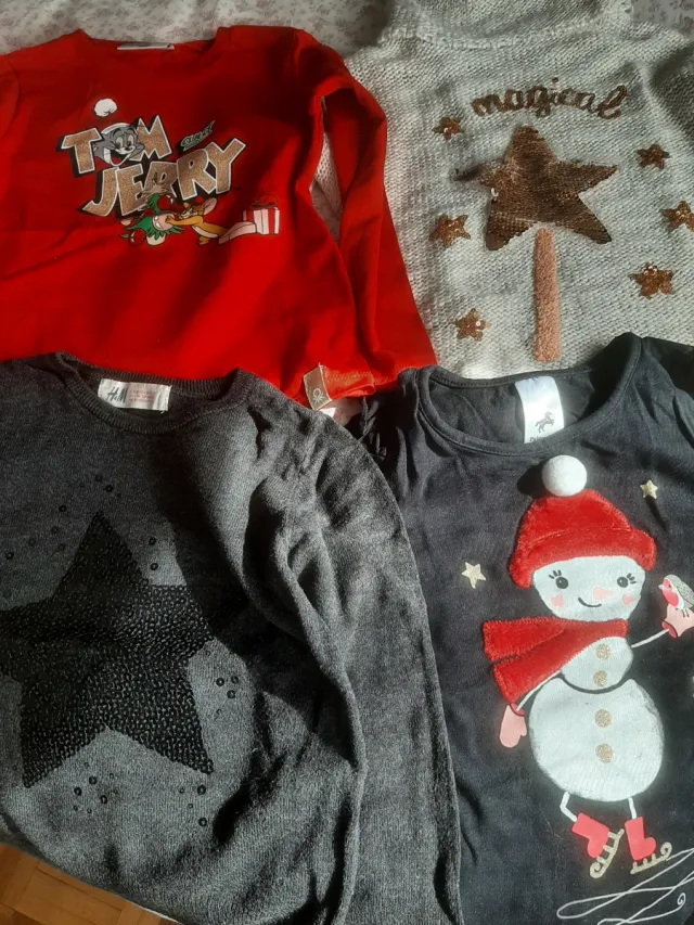 Lote Ropa Niña: Jersey y Camisetas