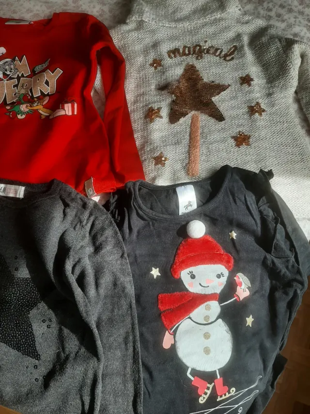 Lote Ropa Niña: Jersey y Camisetas