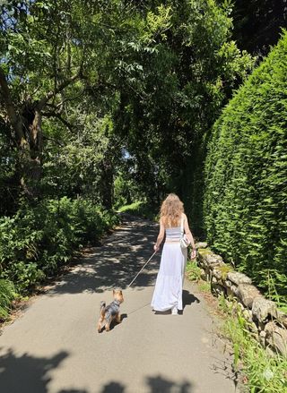 Cuido de tus mascotas :)