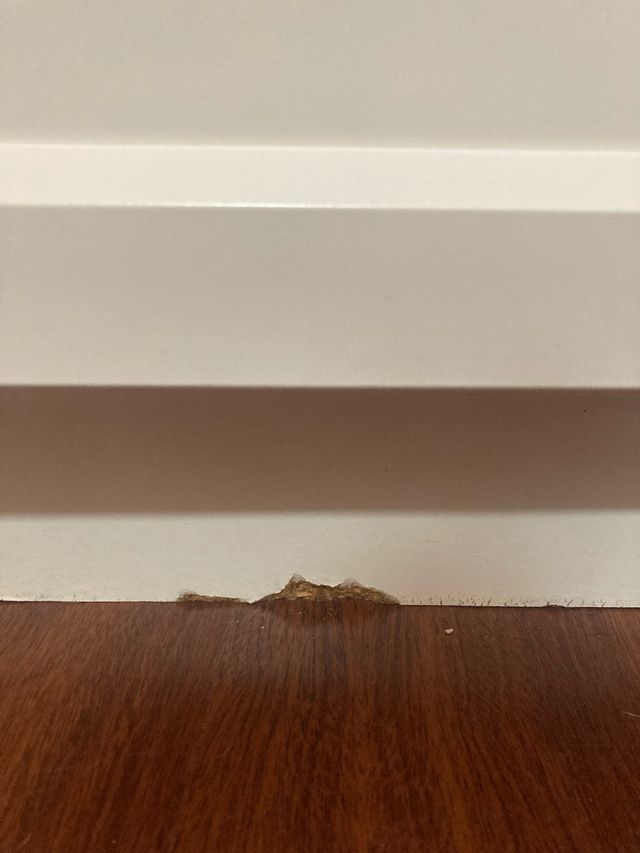 Librería Billy Ikea con puertas de vidrio