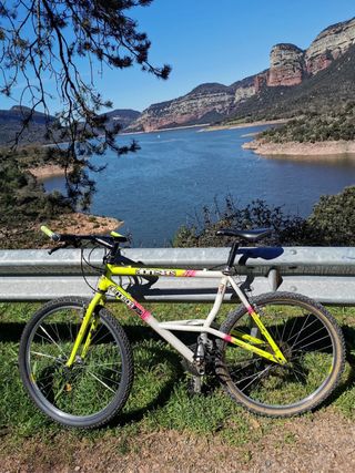 Bici Alpinestars Mega