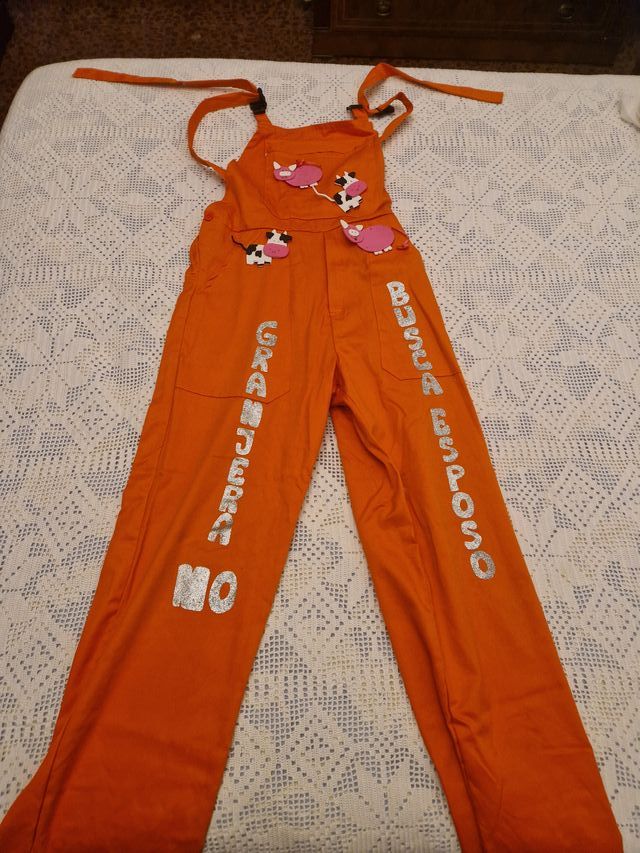 Disfraz Granja Naranja Talla Única