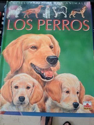 Varios