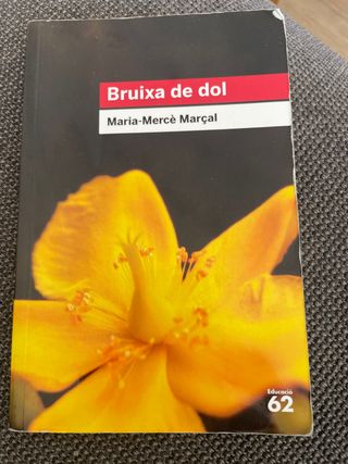 Bruixa de dol (1977-1979)