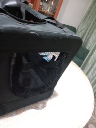 Maleta para mascotas