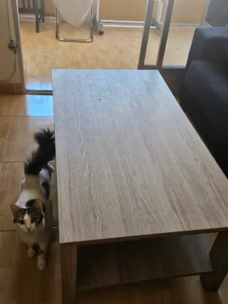Mesa de centro madera clara salón