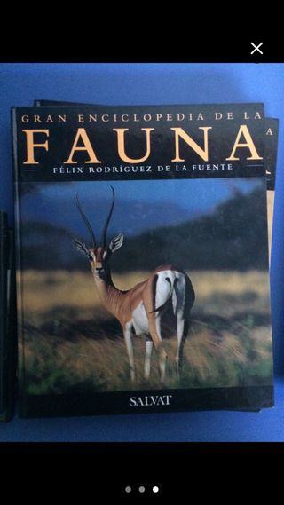 Gran Enciclopedia De La Fauna