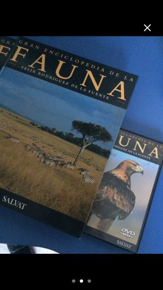 Gran Enciclopedia De La Fauna