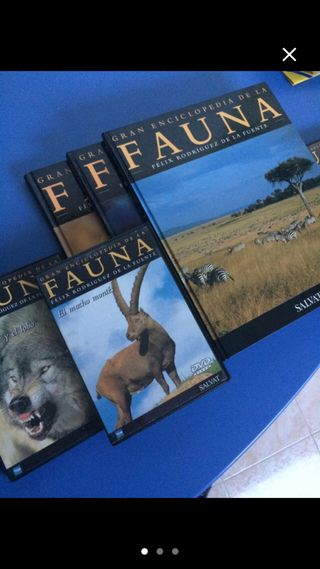 Gran Enciclopedia De La Fauna