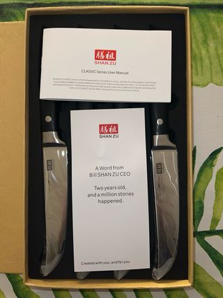 Set di 4 coltelli da bistecca in acciaio inossidabile