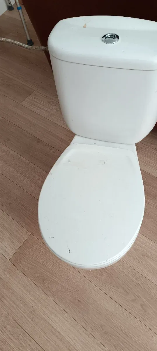 Inodoro de porcelana blanco