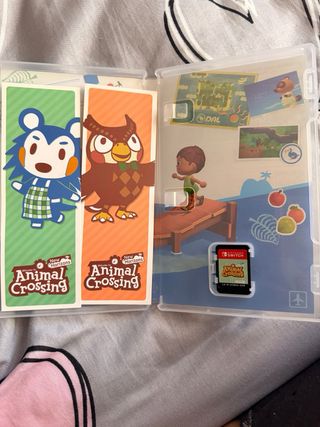 Animal Crossing New Horizons Nintendo Switch