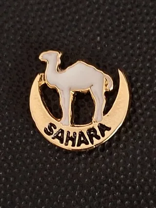 Pin permanencia en el Sahara