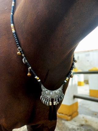 Collar de ritmo para caballos