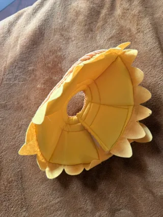 Cono collare gatto girasole