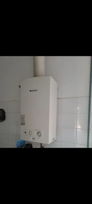 Calentador Junkers Gas Butano Blanco