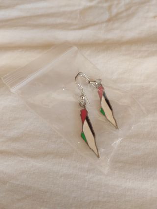 Pendientes bandera Palestina de Acero