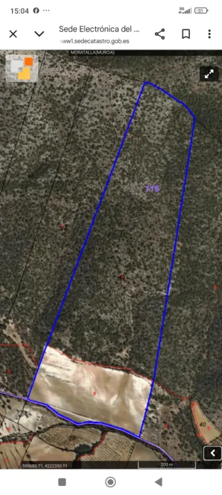 Finca agua, labor y coto