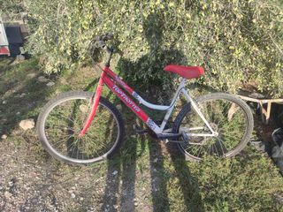 Bicicleta TOP TROTTER roja y blanca