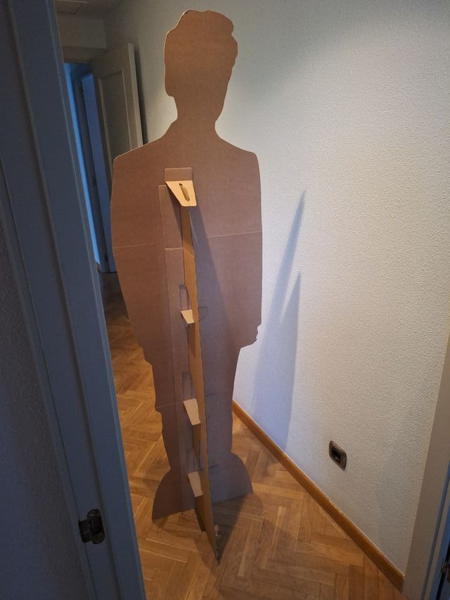 Harry Styles Cartón Tamaño Real