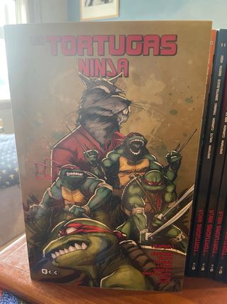 Las Tortugas Ninja 1–17 • ECC • Colección completa