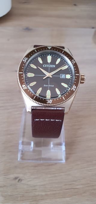 Reloj Citizen Eco-Drive Dorado Marrón