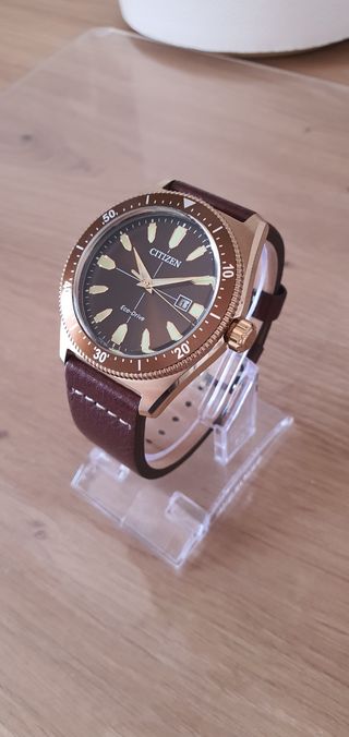 Reloj Citizen Eco-Drive Dorado Marrón