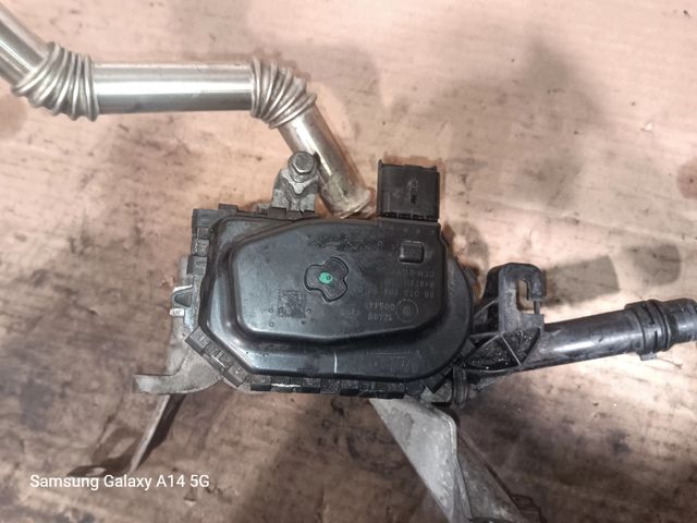 Válvula EGR CITROËN PEUGEOT BHZ 98073699800