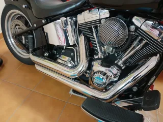 Escapes Vance & Hines Softail