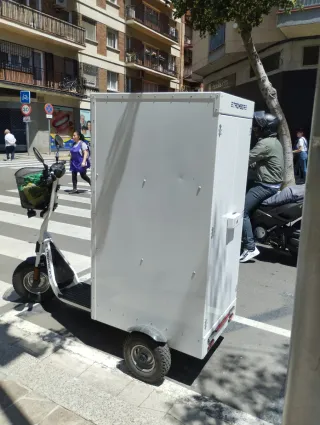 Patinete eléctrico triciclo de carga para reparto 