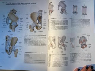 Prometheus Texto y Atlas Anatomía. 3ª edición