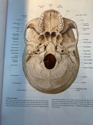 Prometheus Texto y Atlas Anatomía. 3ª edición