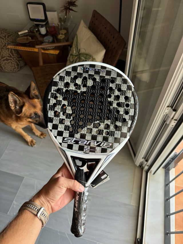 Pala Starvie Astrum 2024