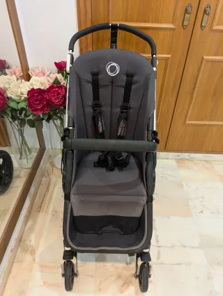 Carro Bugaboo Camaleón³