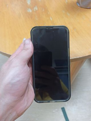 iPhone 14 Pro Max Negro