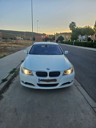 BMW Serie 3 2010