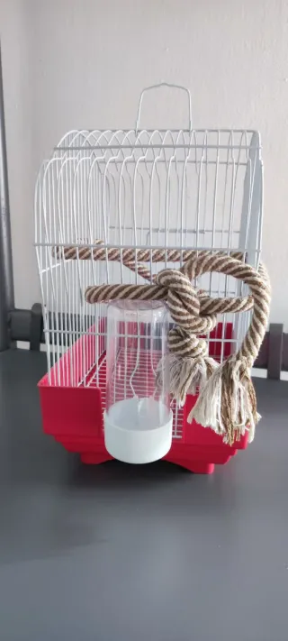 Jaula pájaros blanca con bebedero