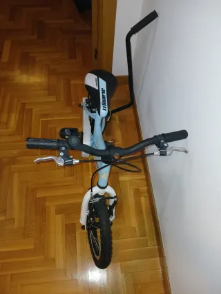 Bicicleta infantil JL WENTI