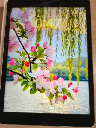 iPad 9ª Gen Wi-Fi + Cellular 256GB