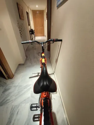 Bicicleta de Montaña Naranja