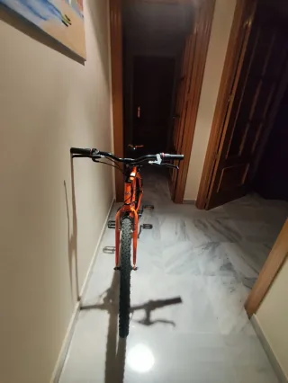 Bicicleta de Montaña Naranja