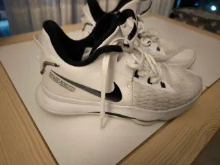 Zapatillas Baloncesto LeBron Witness V 44.5