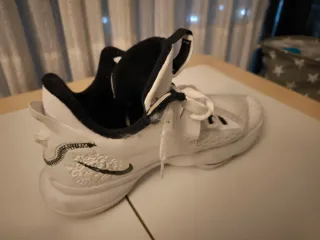 Zapatillas Baloncesto LeBron Witness V 44.5